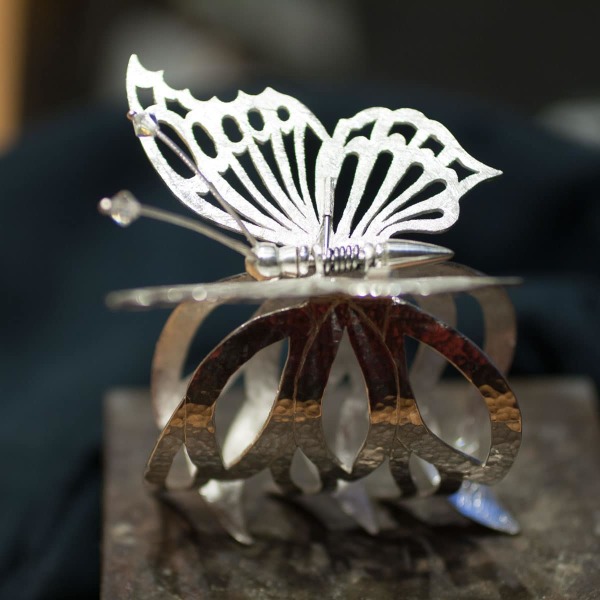 Silberklammer Schmetterling
