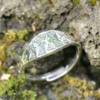 Wikinger Ring