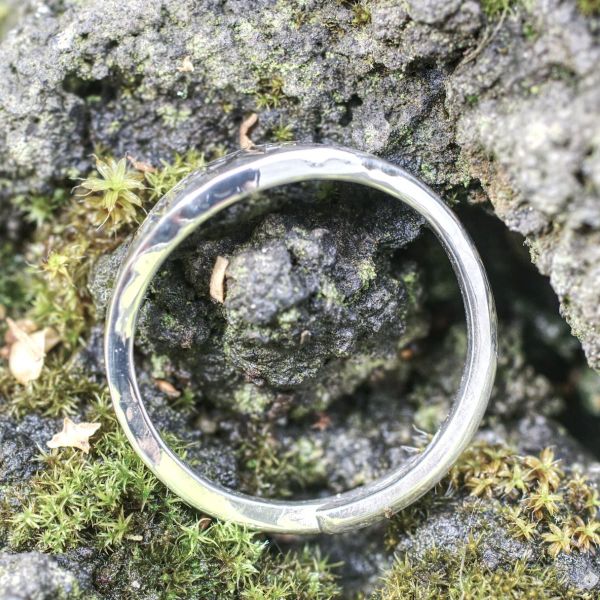 Wikinger Ring