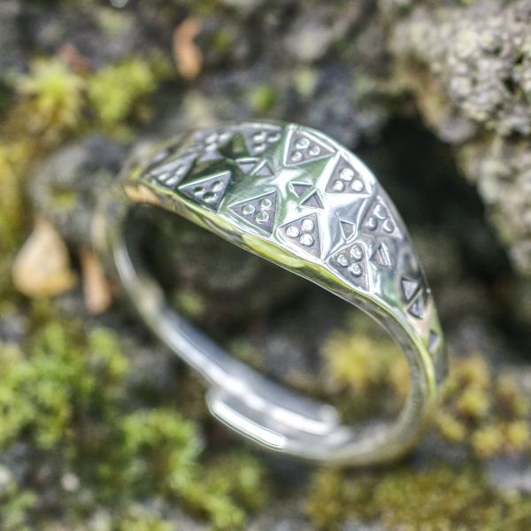 Wikinger Ring 2