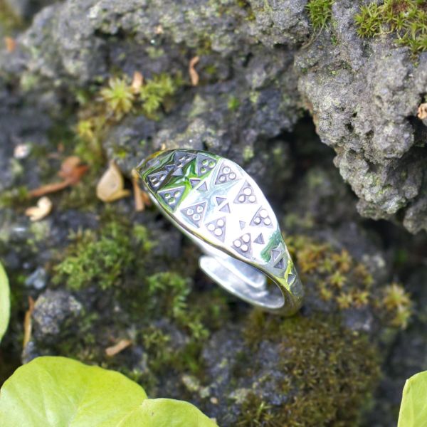 Wikinger Ring