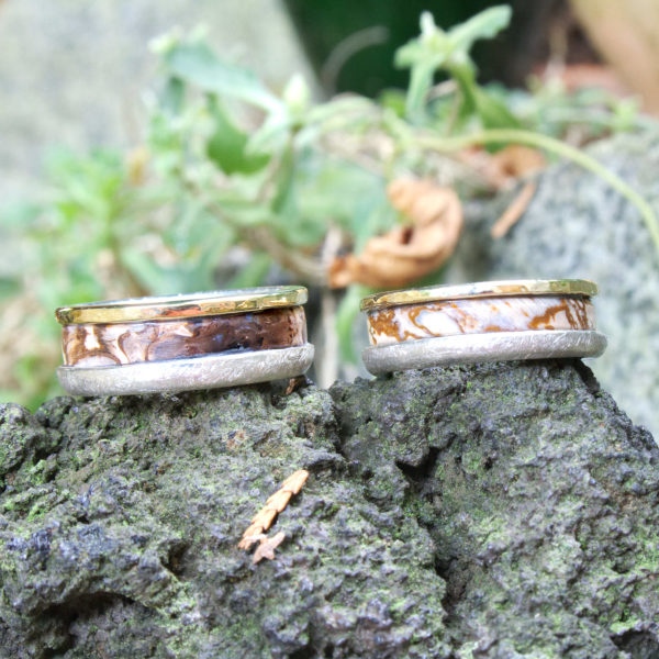 Trauringe Silber-Gold mit versteinertem Holz