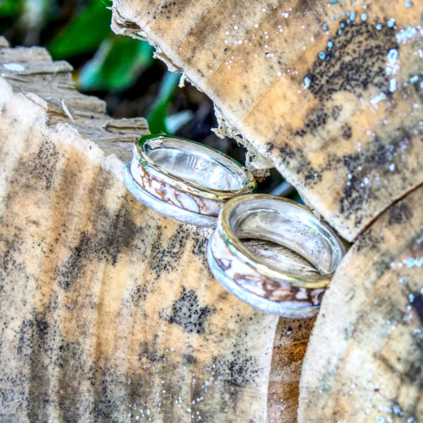 Trauringe Silber-Gold mit versteinertem Holz